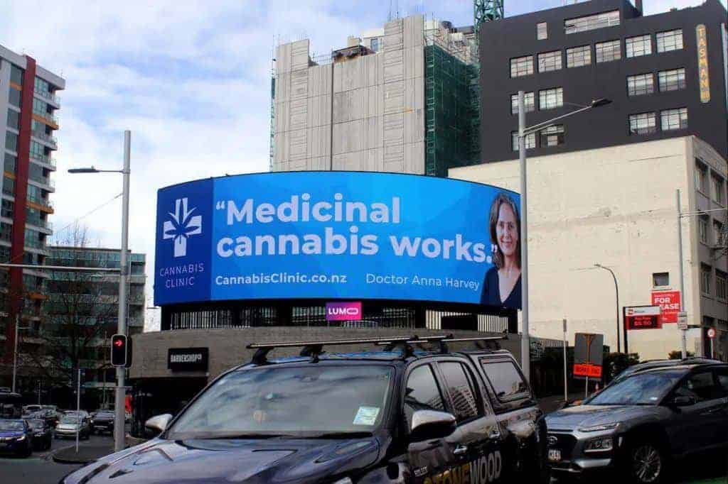Interview With One of New Zealand Leading Cannabis Doctors - Dr Anna Harvey