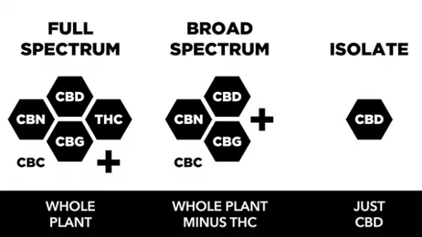 CBD & THC Products in New Zealand – A Complete Guide