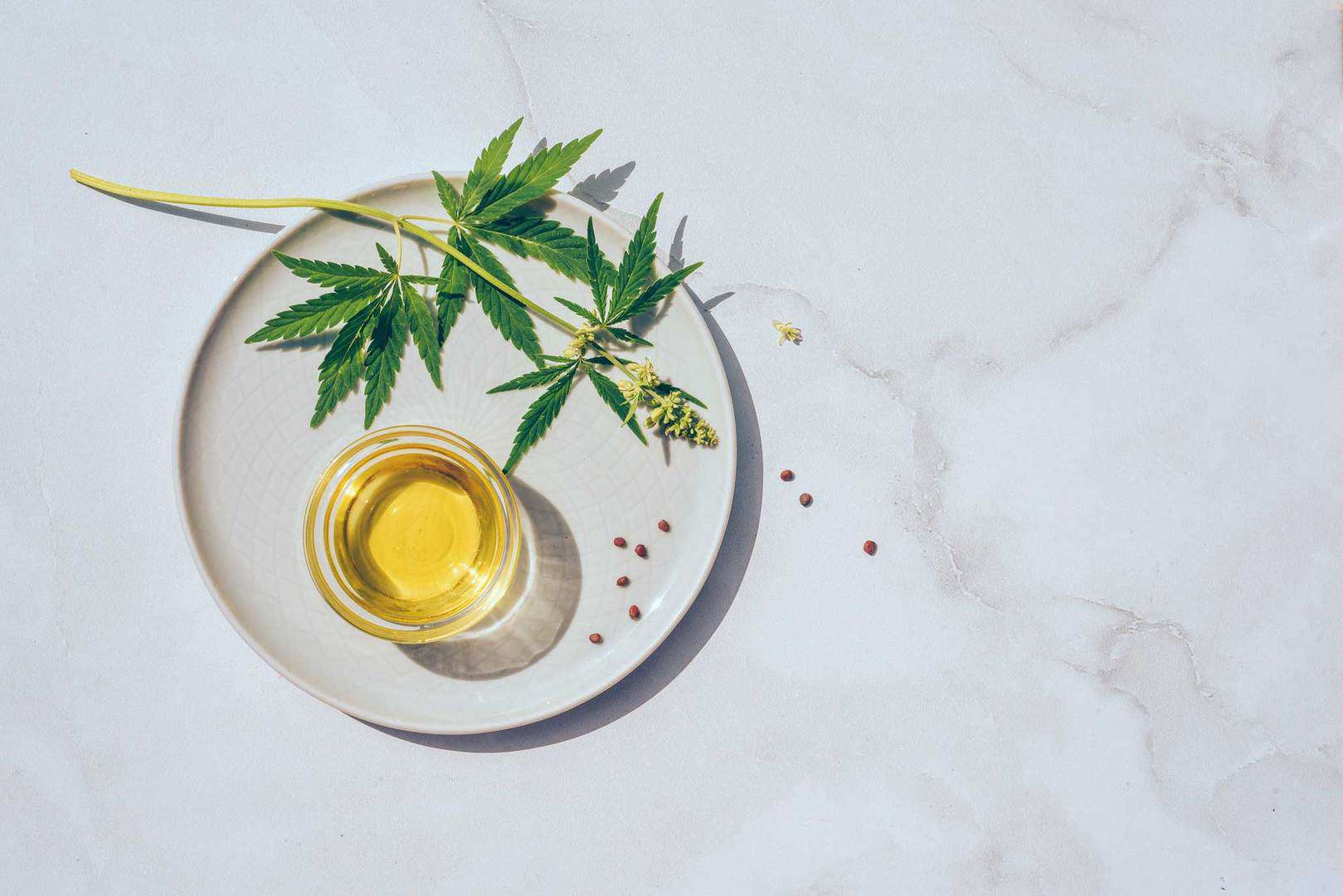 5 Top Tips To Help Your Doctor Prescribe CBD Oil in NZ
