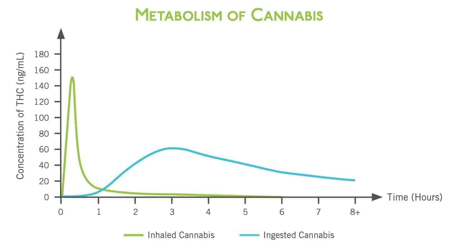 CBD & THC Products in New Zealand – A Complete Guide