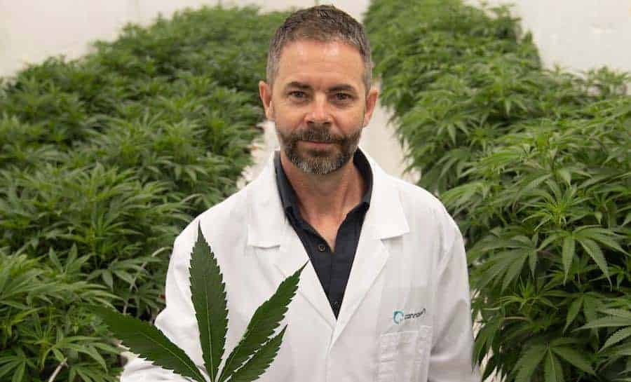 Into the Looking Glass. What the Future Holds for Medicinal Cannabis in New Zealand in 2021