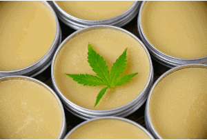 CBD & THC Products in New Zealand – A Complete Guide