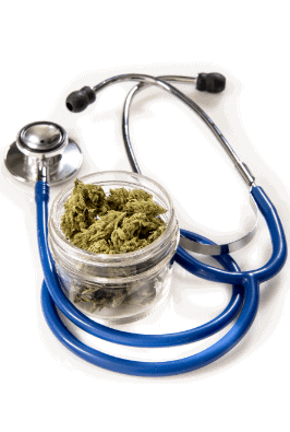 Doctor, CBD Oil is Safe - Safer than Paracetamol!