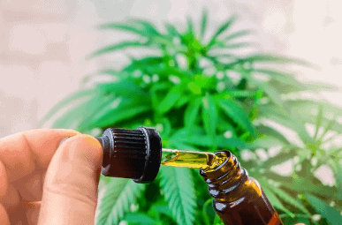 How to get a CBD Oil Prescription in 2022