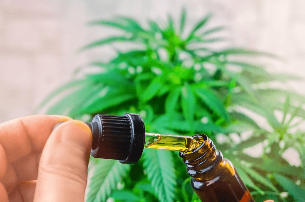 Doctor, CBD Oil is Safe - Safer than Paracetamol!