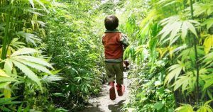 CBD Oil for Children – Everything You Need to Know