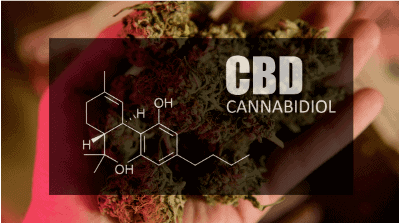 10 Possible CBD Oil Benefits (Plus Possible Side Effects)