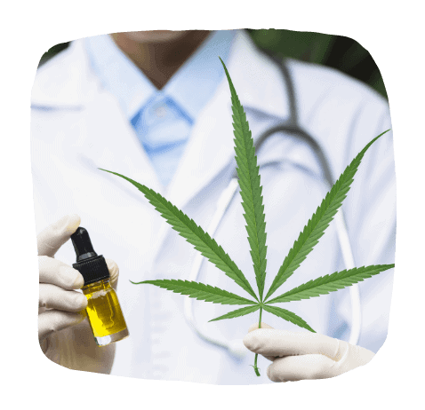 Hemp oil vs CBD oil - All You Need to Know