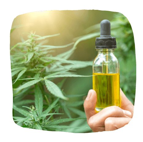 Hemp oil vs CBD oil - All You Need to Know