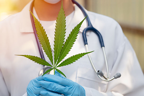 2021 Medicinal Cannabis Regulation Changes | Cannabis Clinic