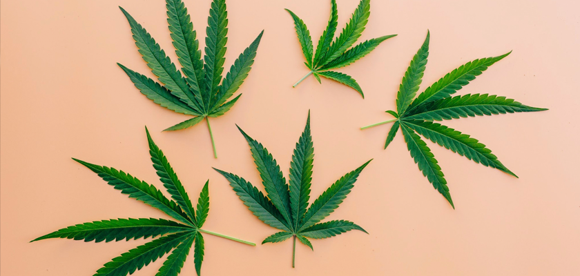 Full Spectrum CBD vs Isolate CBD - What's the Difference?