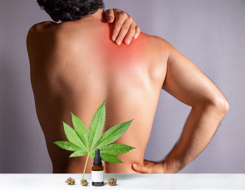 CBD Oil for Chronic Back Pain – A Complete Guide