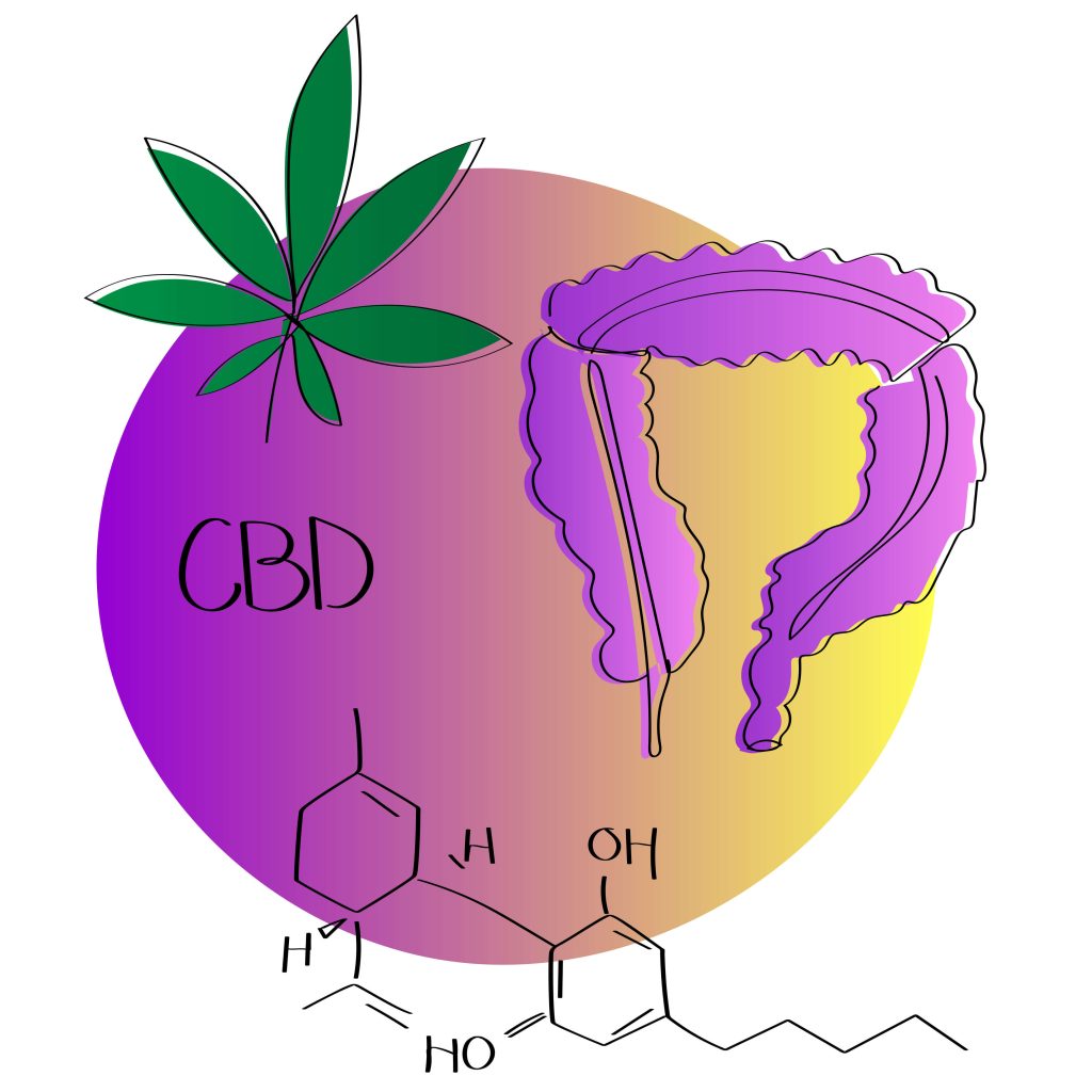 Can CBD Oil Help IBS (Irritable Bowel Syndrome)?