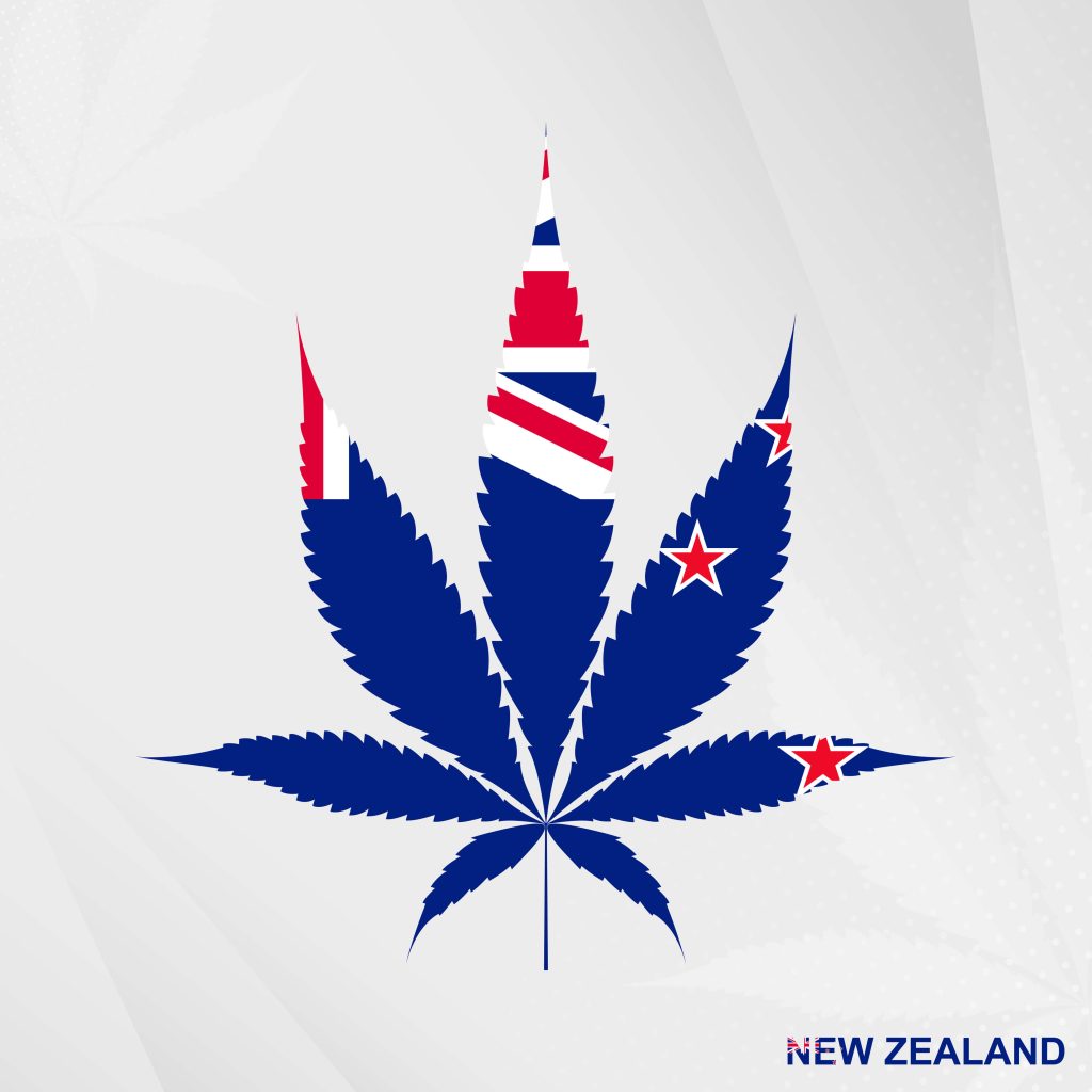Is CBD Oil Legal in NZ? Is Medicinal Weed Legal in NZ? Can I Import It?