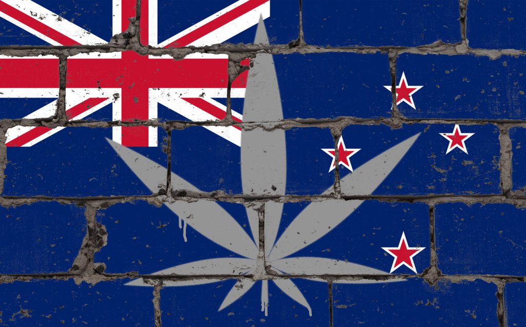 Into the Looking Glass. What the Future Holds for Medicinal Cannabis in New Zealand in 2021