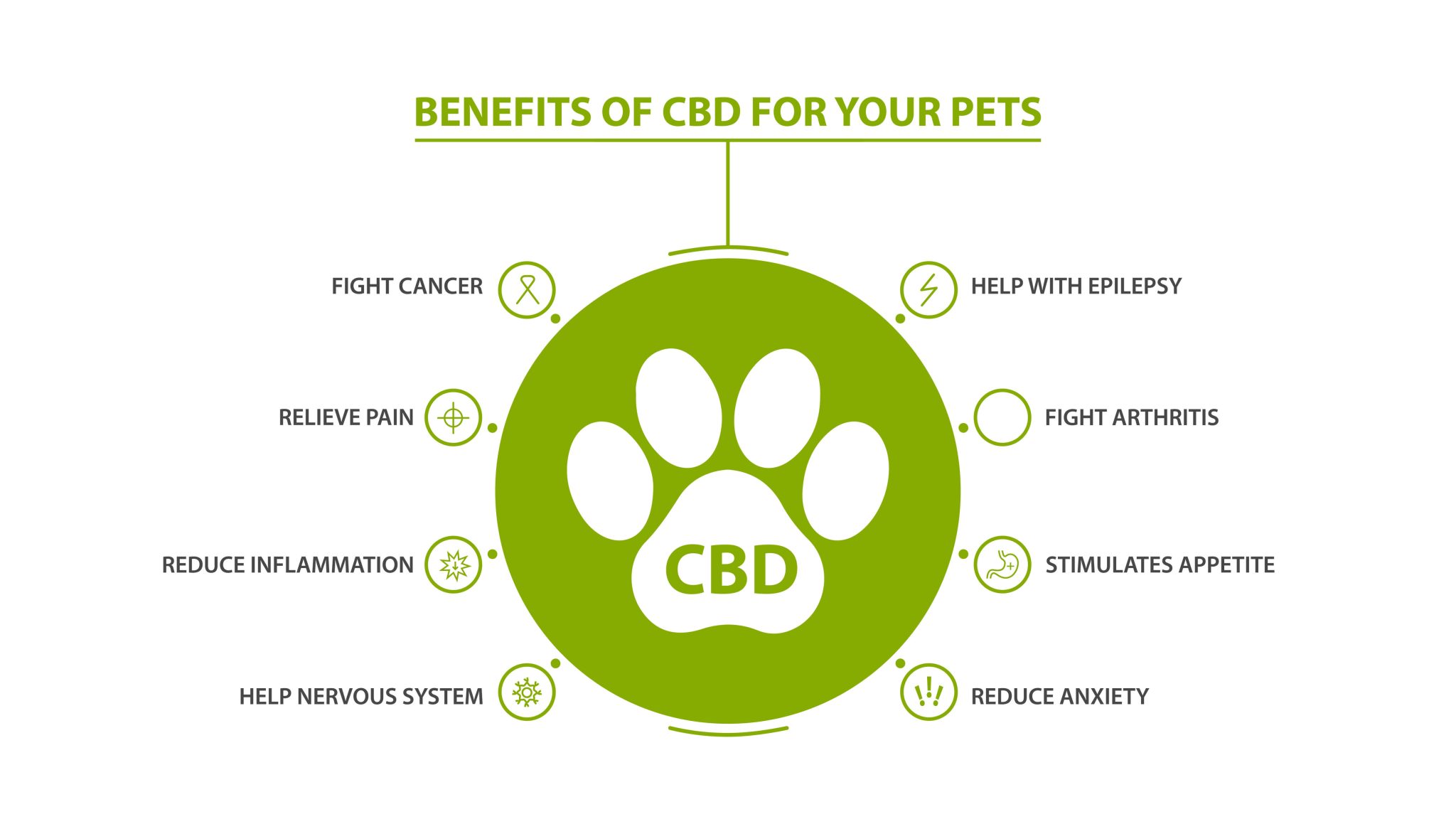 CBD Oil for Dogs, Cats and Pets Cannabis Clinic NZ