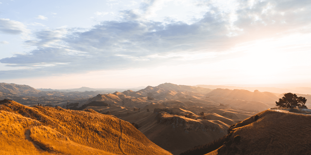 New Medicinal Cannabis Clinic Opens in Havelock North