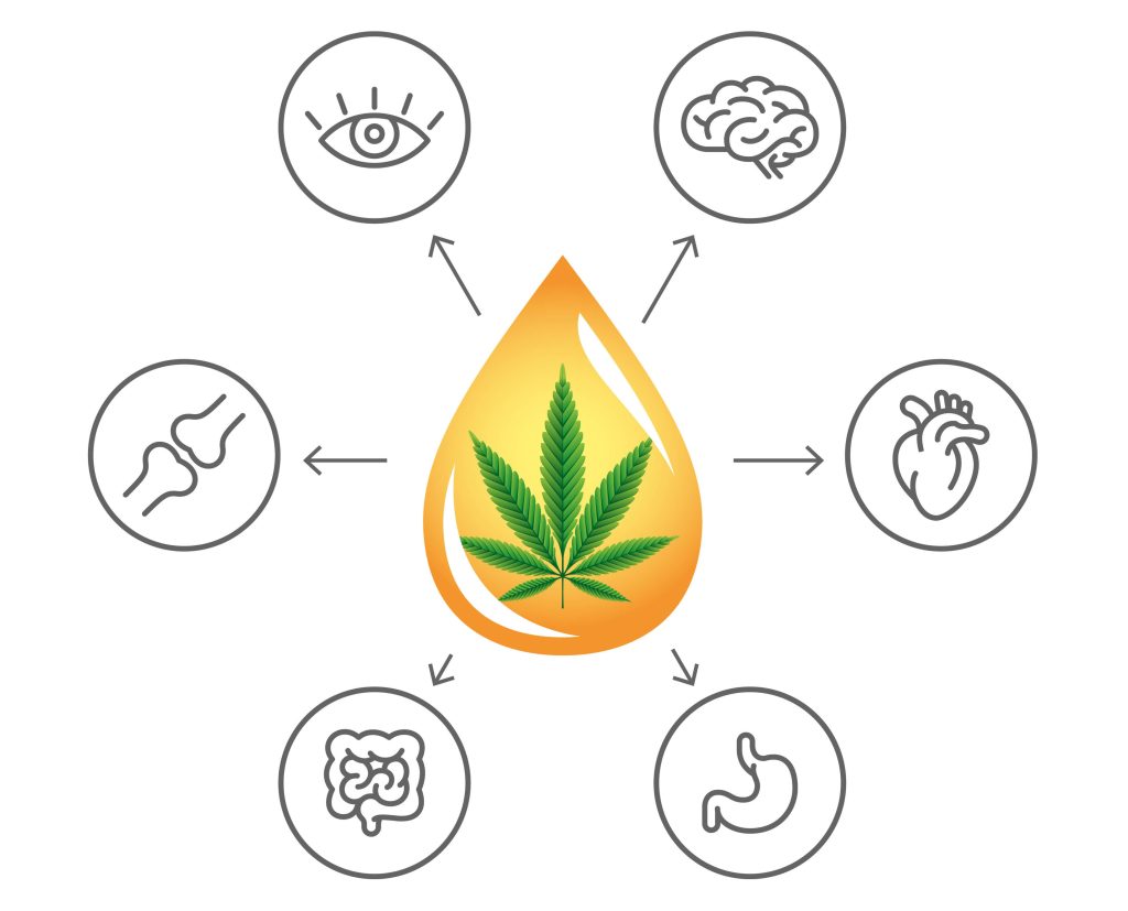 Bubble Hash Oil