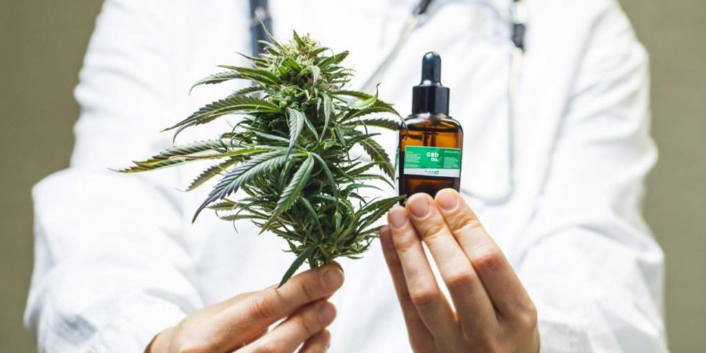 Research Suggests CBD Oil May Enhance Effects of THC