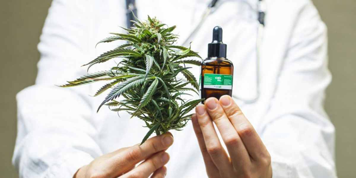 Everything you need to know about CBD Oil | Cannabis Clinic NZ