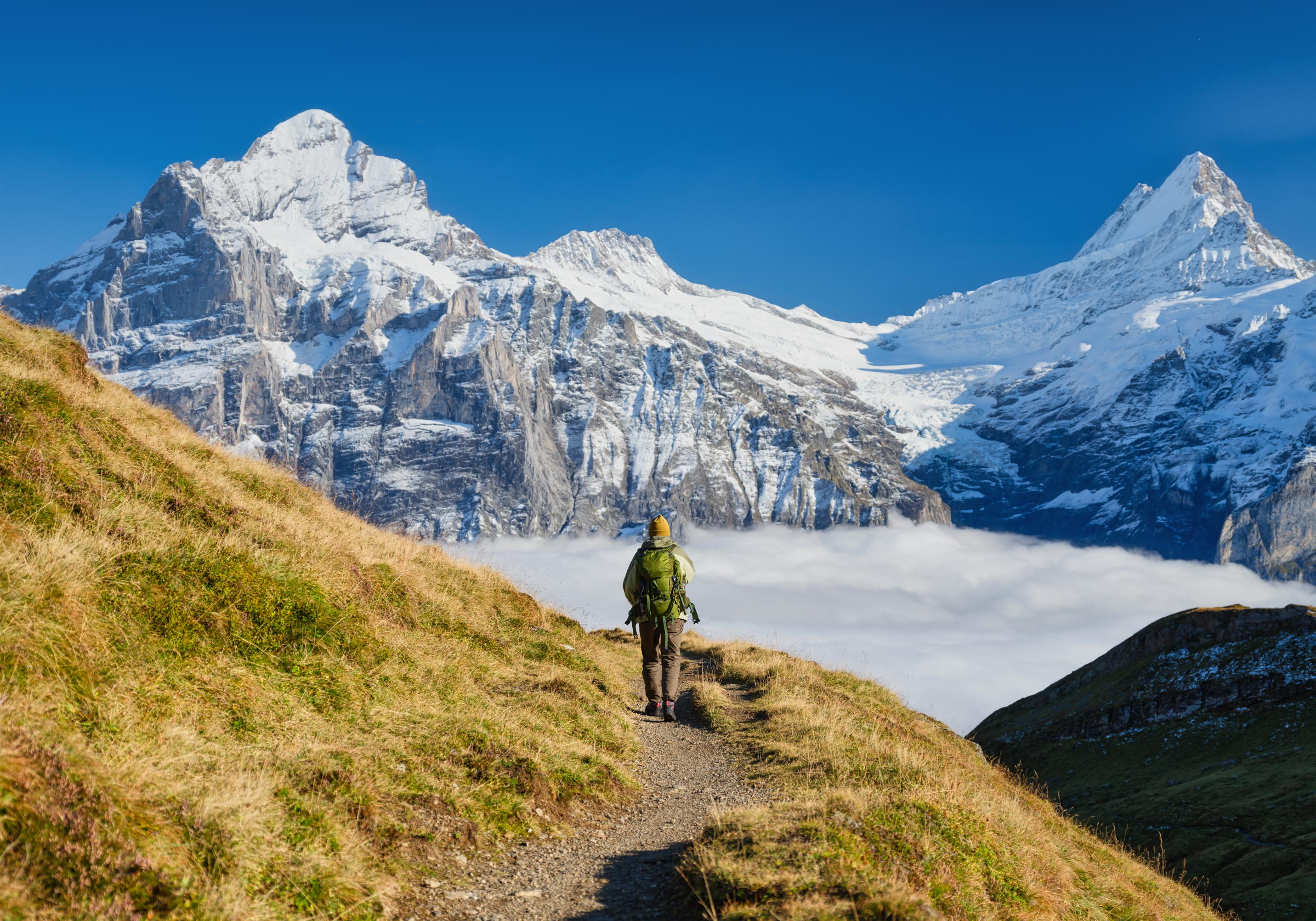Major Medicinal Cannabis Merger
