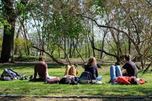 Making Plant-Based Care More Accessible