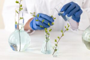 How Everyday Chemicals Might Be Worsening Your Menopause Symptoms (And What Plants Can Do About It)
