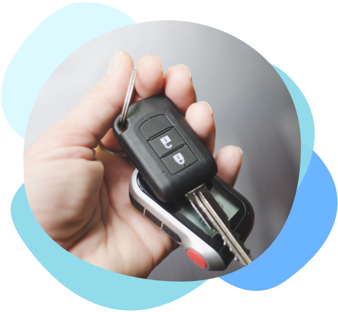 Roadside Drug Testing and Medicinal Cannabis in NZ