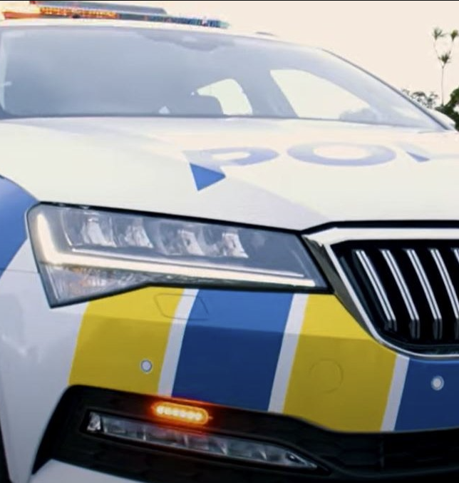 Driving Resource Hub: Roadside Drug Testing and Medicinal Cannabis in NZ