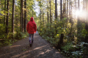 Chronic Pain and Medicinal Cannabis: How to Build an Effective Treatment Plan